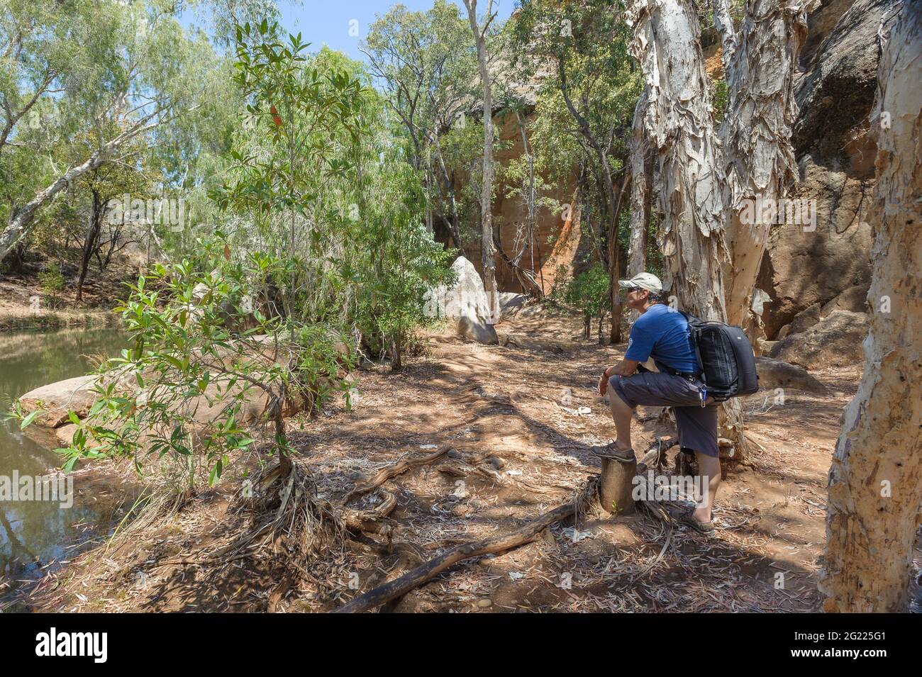 Ein alleinesker Wanderer, der die malerische Landschaft der Cobbold Creek Schlucht im Outback von Queensland, Australien, genießt. Stockfoto