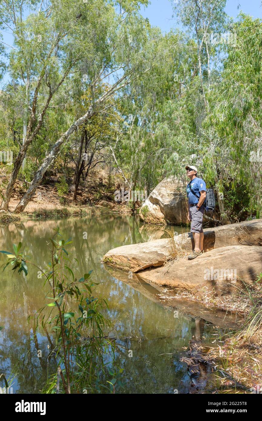 Ein alleinesker Wanderer, der die malerische Landschaft der Cobbold Creek Schlucht im Outback von Queensland, Australien, genießt. Stockfoto