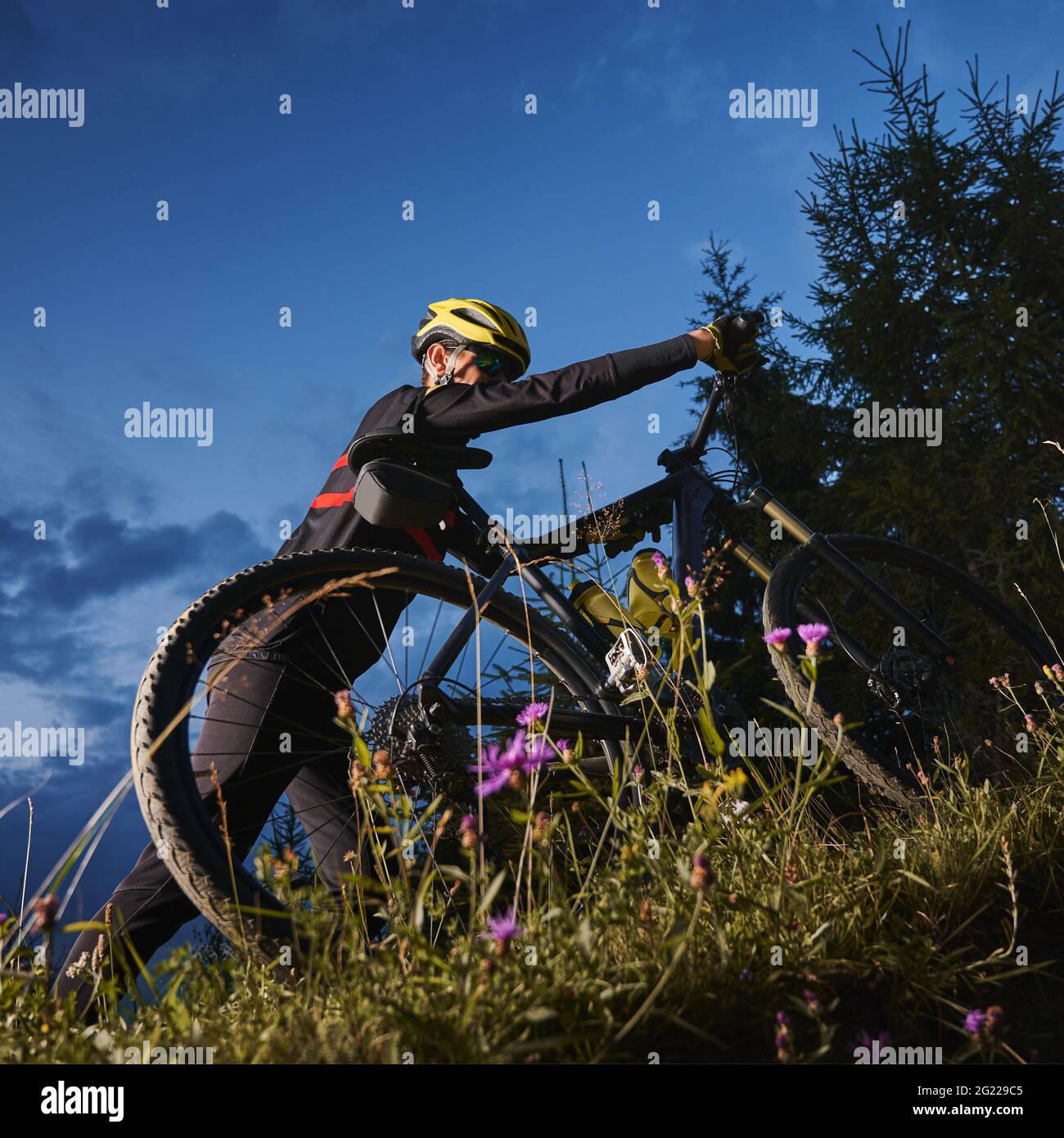 Low-Angle-Ansicht des Radfahrers, der sein Fahrrad bergauf schiebt. Hinterrad in Wildblumen im Vordergrund, grüne Fichten und Abendhimmel im Hintergrund. Konzept des Extremfahrens Stockfoto