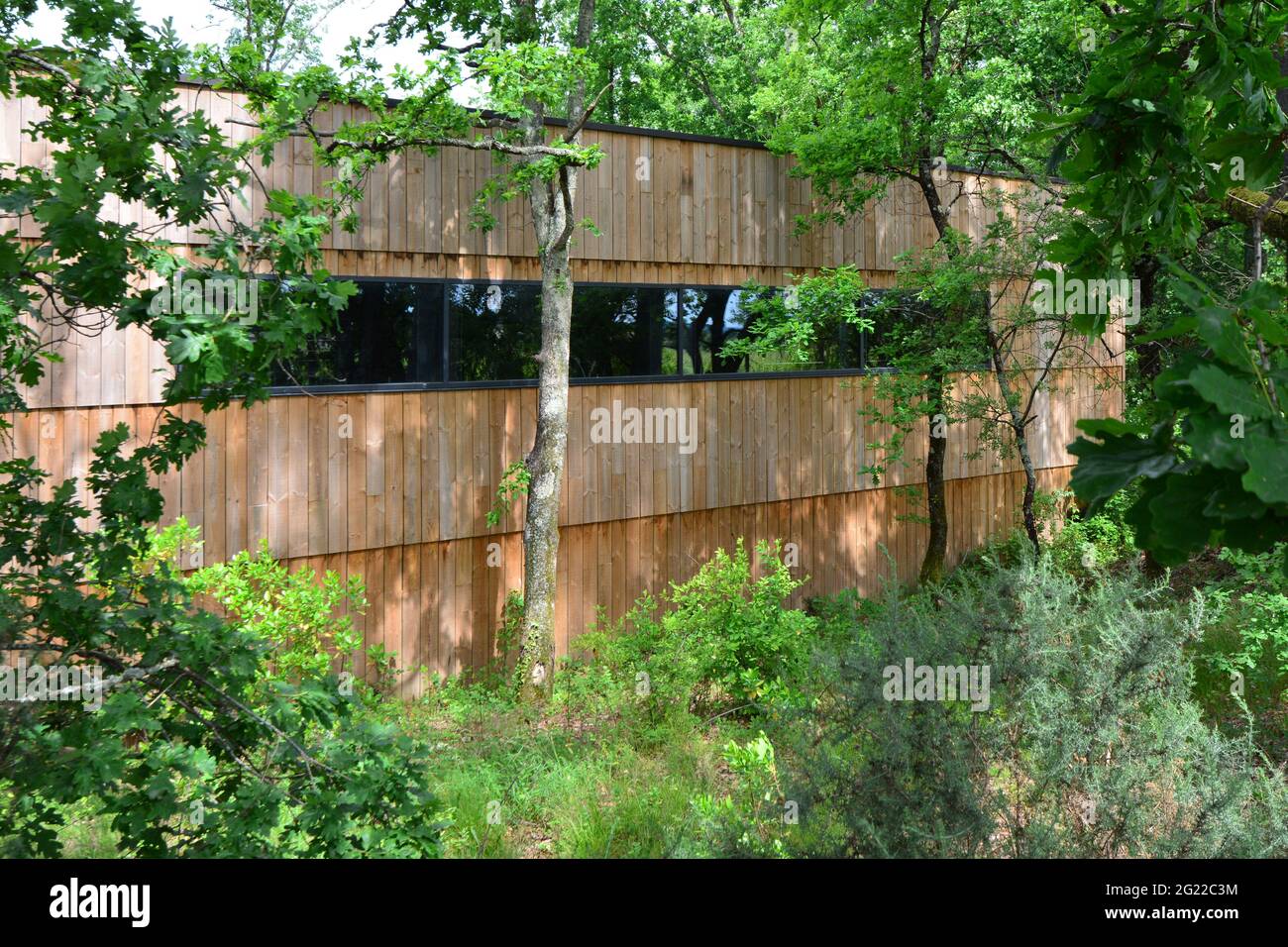 FRANKREICH. NOUVELLE-AQUITAINE. GIRONDE (33). MARTILLAC. DER VERBORGENE KELLER VON CHATEAU SMITH HAUT-LAFITTE, VERSTECKT IM WALD. ES IST DAS ERSTE, DAS ES IST Stockfoto