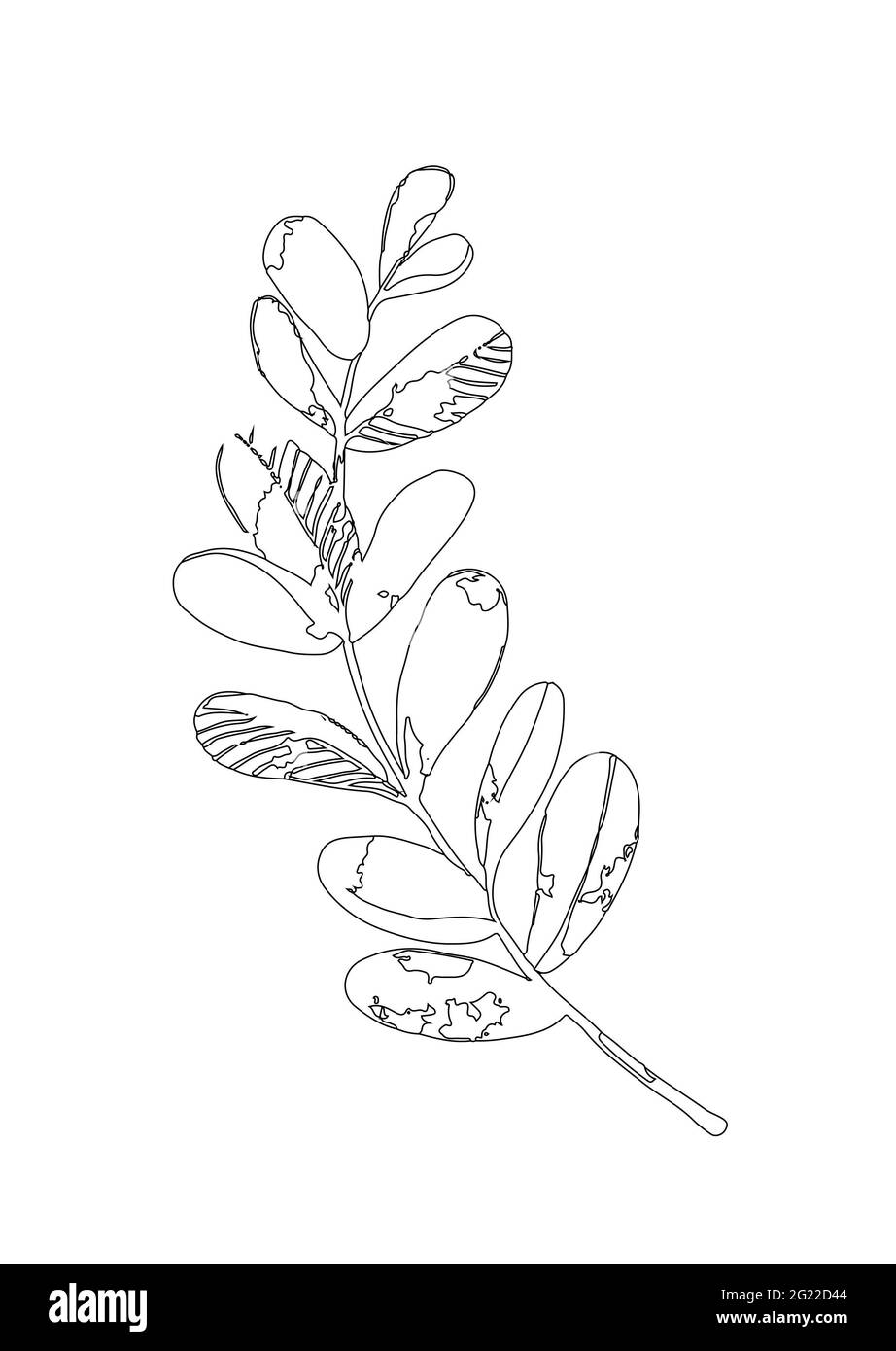 Abstrakte Kunst Linie Hintergründe, Plakate Wandkunst mit Blumen und Pflanzen in Töpfen. Modernes Design, Doodle-Formen Stockfoto