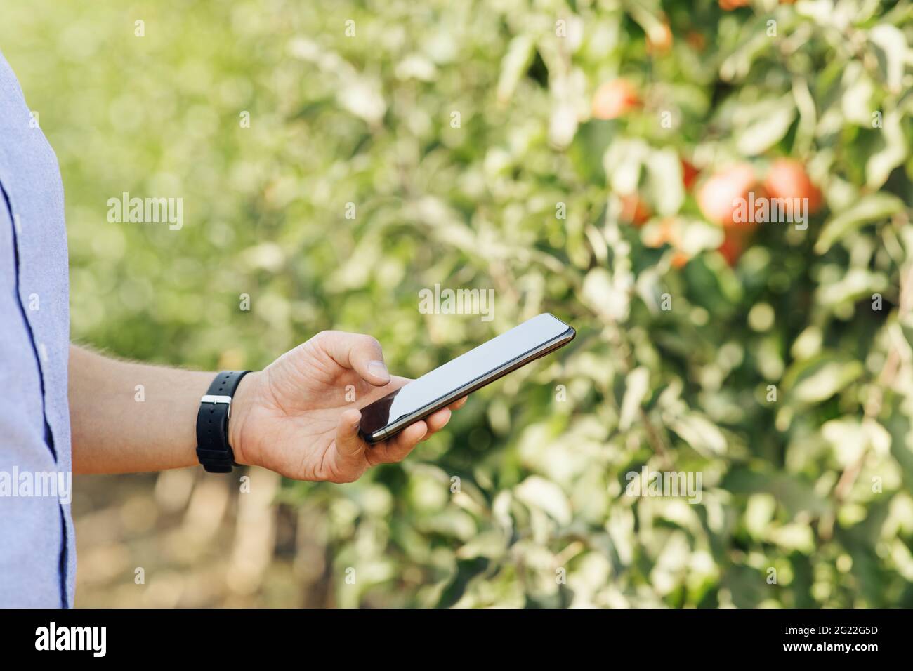 Modernes Gadget für die Arbeit an Öko Smart Farm und Business Management Stockfoto