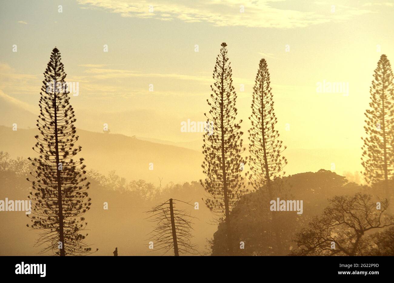 NEUKALEDONIEN. GROSSE INSEL. REGION BOURAIL Stockfoto