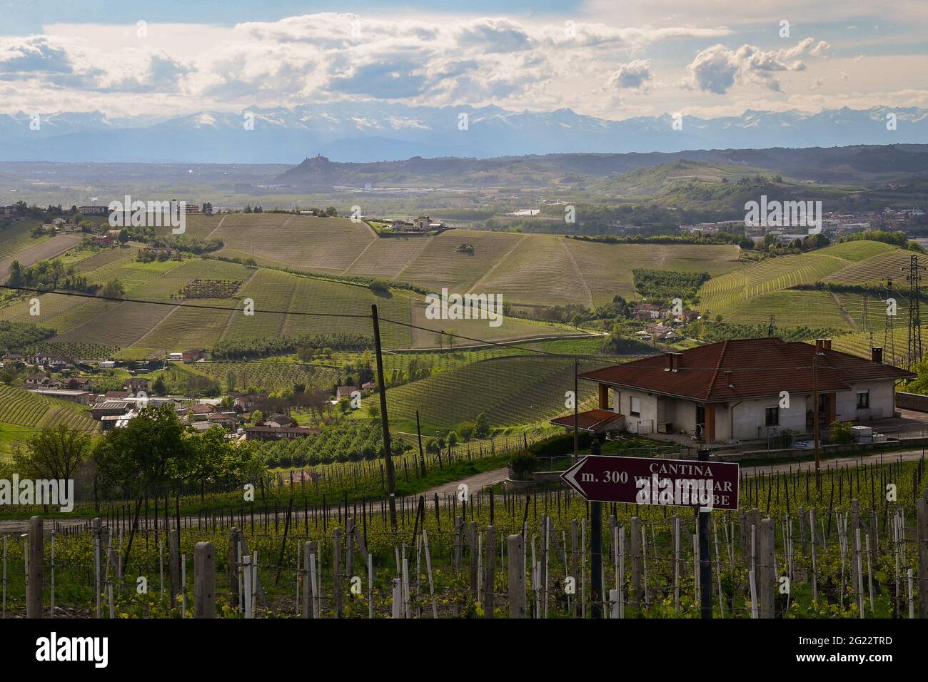 Blick auf die Langhe-Weinberge, UNESCO-Weltkulturerbe, mit dem Hinweisschild einer Weinkellerei im Frühling, Barbaresco, Cuneo, Piemont, Italien Stockfoto