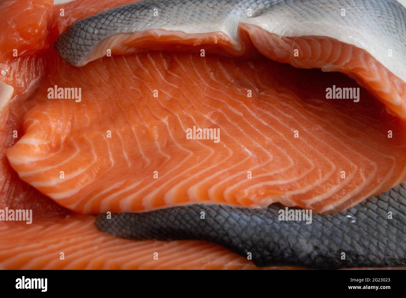 Fisch rot frisch aus der Nähe, gibt es Stücke von Fischschuppen Stockfoto