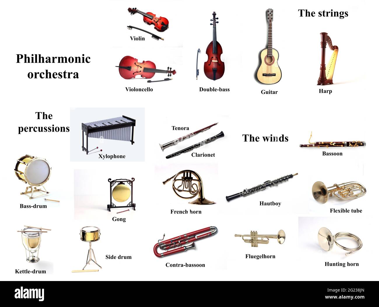 Lehrplakat für die Schule - philharmonische Orchester-Instrumente isoliert  auf weißem Hintergrund Stockfotografie - Alamy