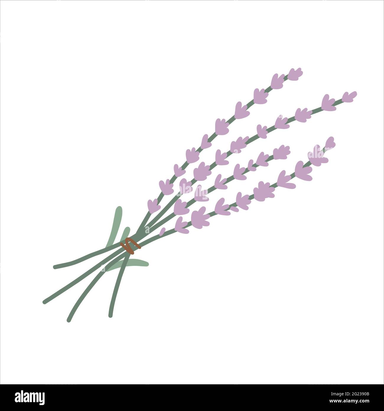 Lavendel Blumenstrauß handgezeichnete Illustration, farbige Vektor Cliparts, moderne Zeichnung isoliert Stock Vektor