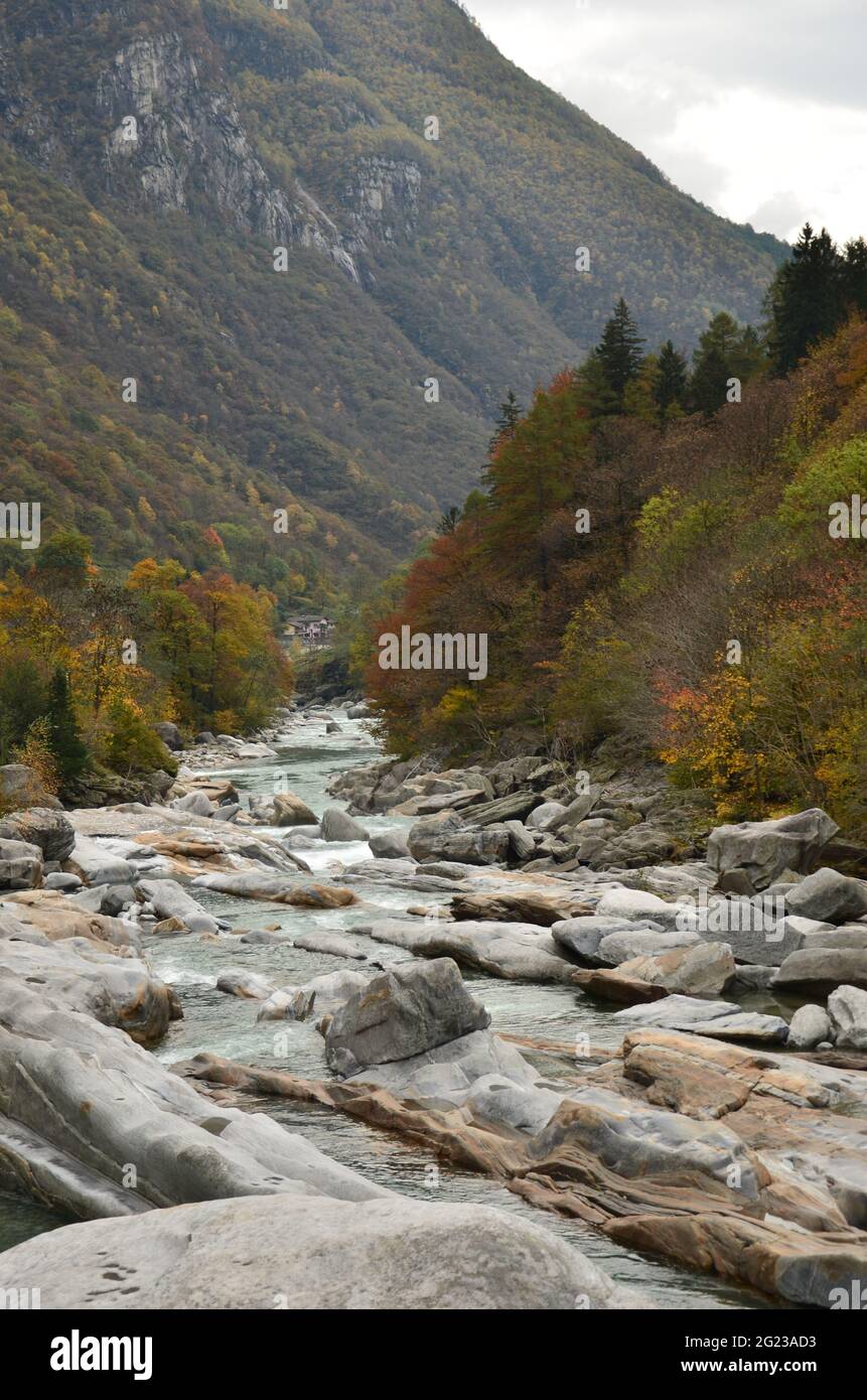 Dorfstadt in der Nähe des Flusses Maggia im Schweizer Alpental, Tessin Valle Maggia, Maggiatal zwischen Bergen und Herbstbäumen Stockfoto