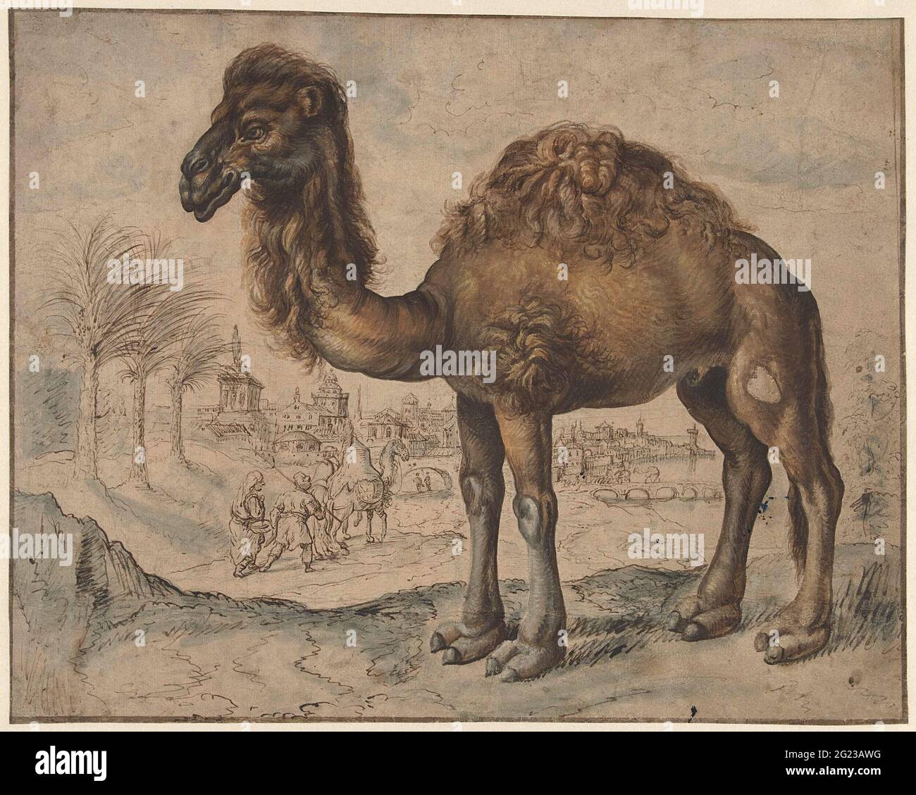 Imaginare Tiere Stockfotos Und Bilder Kaufen Alamy