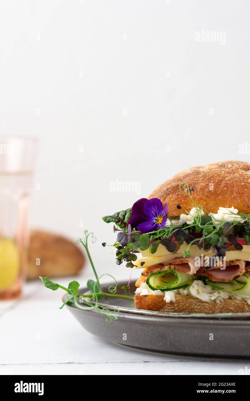 Brötchen mit Wurst, Käse und Gurken, Microgreens und Mozzarella und Radieschen, köstlicher herzhafter Burger aus nächster Nähe auf einem zu Hause gekochten Teller Stockfoto