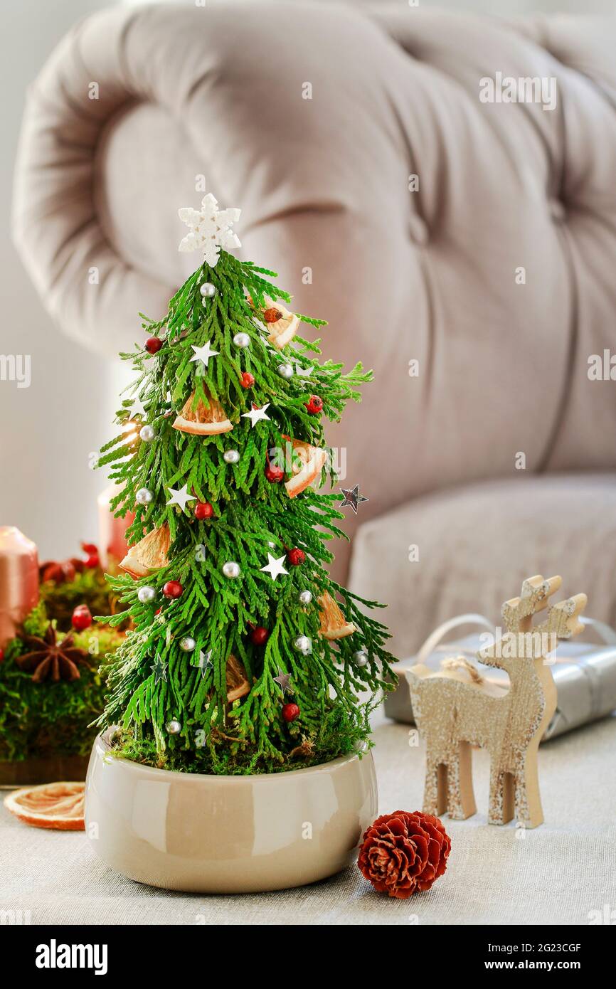 Weihnachtsdekoration in Tannenform aus Thuja-Zweigen und Moos. Festliche Einrichtung Stockfoto