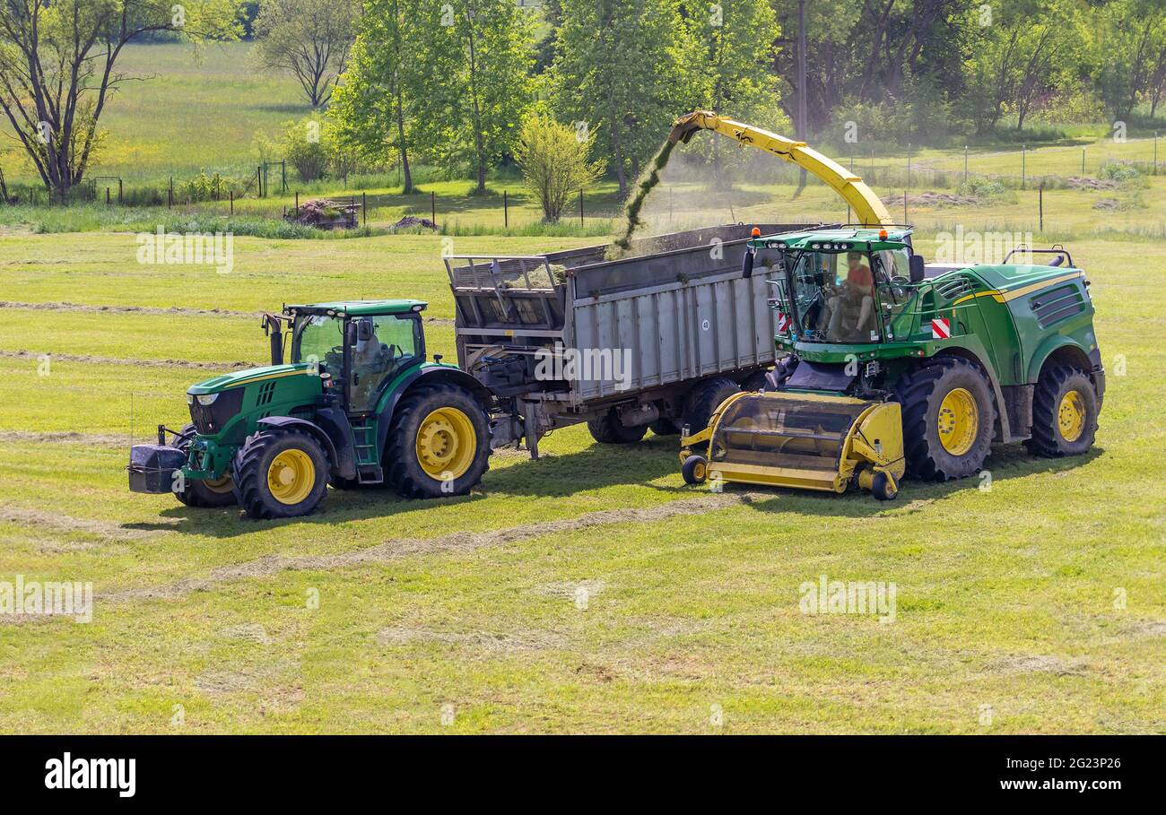 Selbstfahrender Feldhäcksler und Traktor mit Silageanhänger auf dem Feld Stockfoto