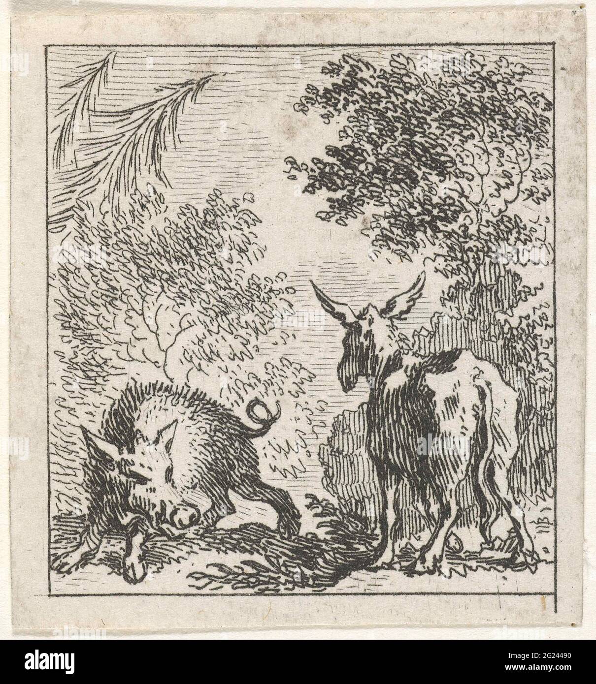 Fabul von Esel und Wildschwein; Illustrationen zu Fabber-Geschichten aus Phaedrus. Ein Esel und ein Wildschwein stehen sich in einem Wald gegenüber. Diese Illustration ist an den aesopischen Fabeln des lateinischen Dichters phaedrus gemacht. Stockfoto