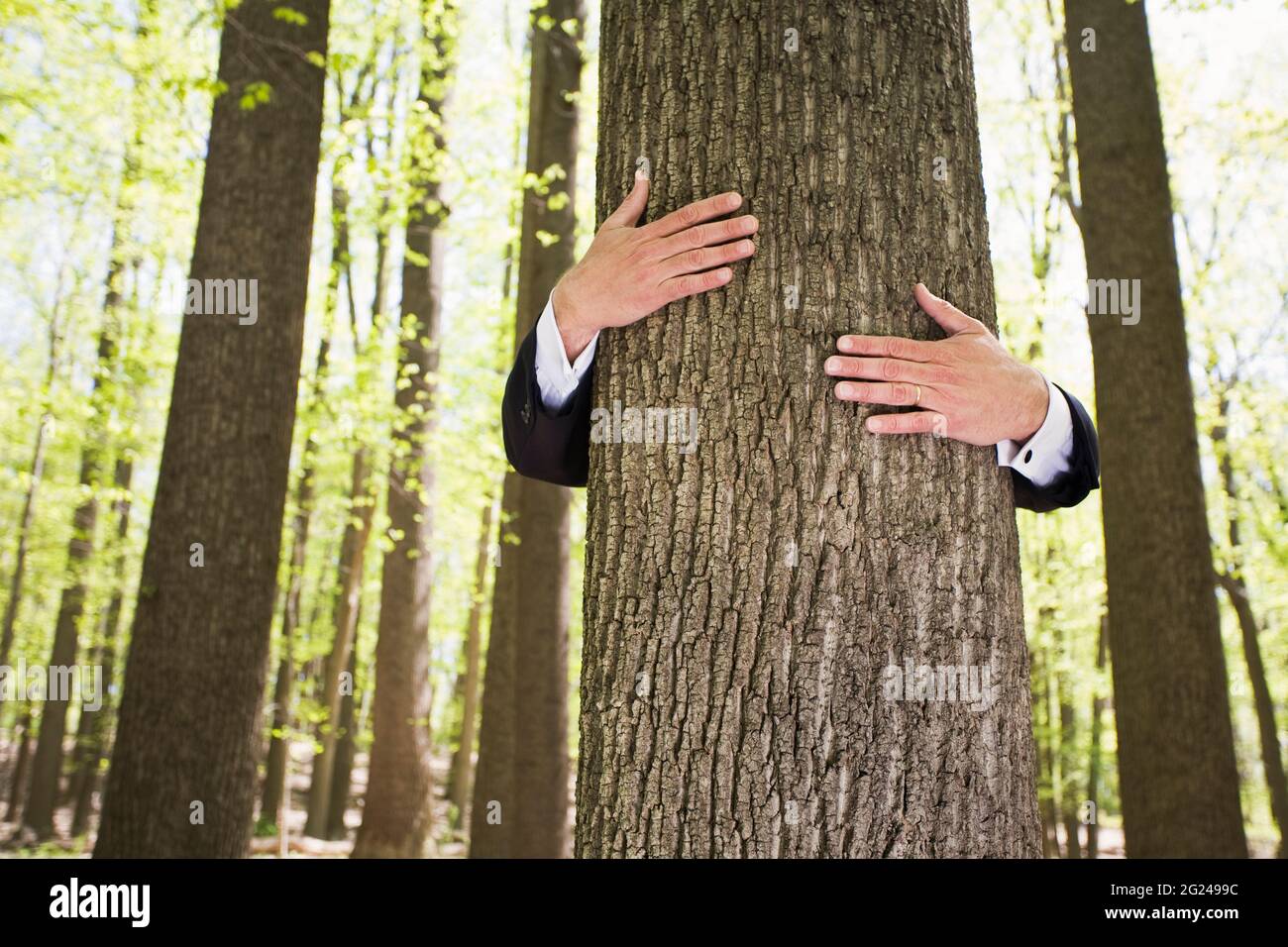 Baum umarmt Geschäftsführerin Stockfoto