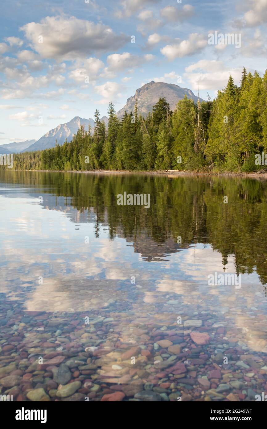 Wunderschöne Berge, die sich im Lake McDonald spiegeln, mit Kieselsteinen im Vordergrund. Glacier National Park, Montana Stockfoto