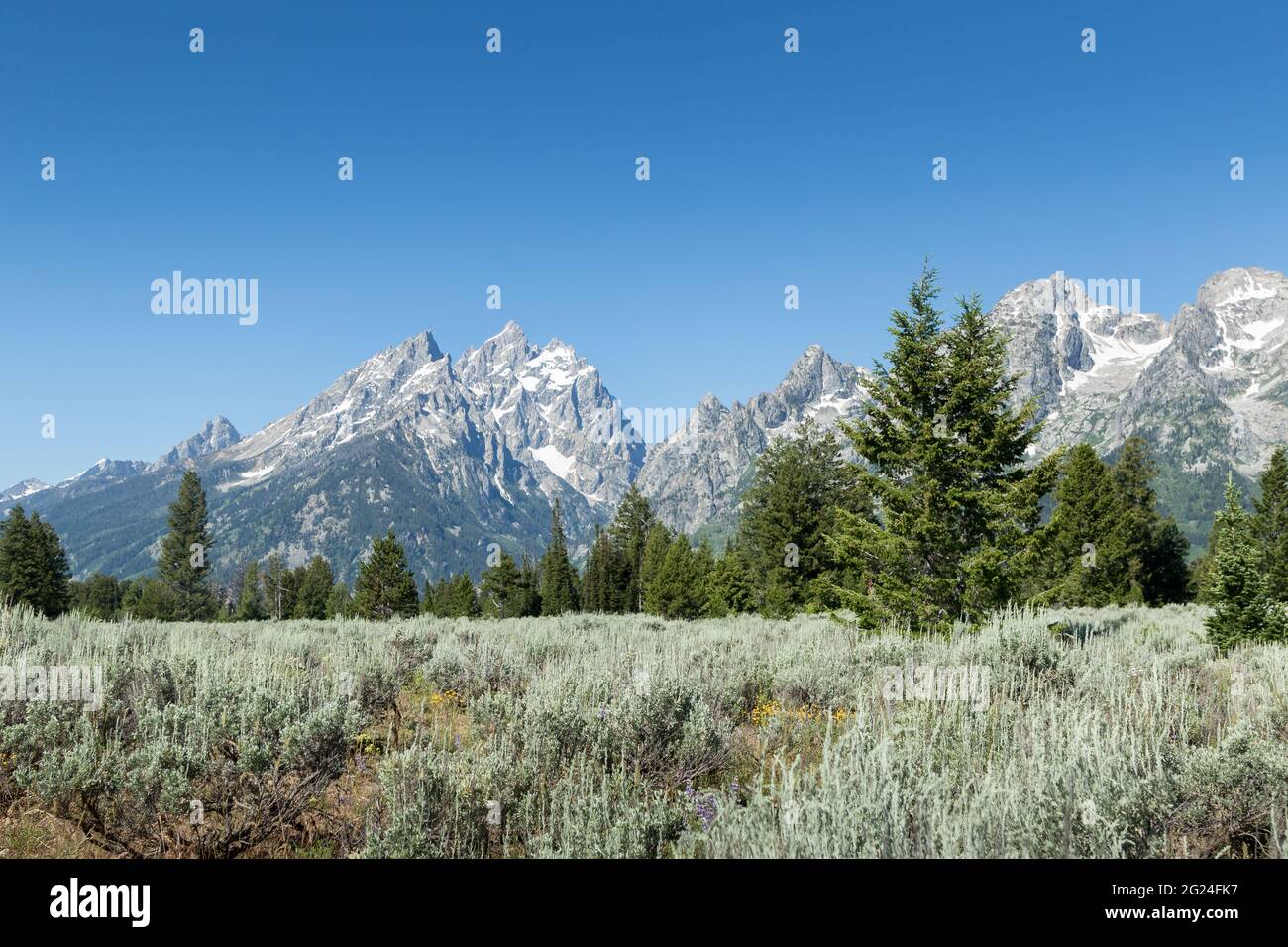 Sagebush Field mit dem South Teton Peak im Hintergrund im Grand Teton National Park Stockfoto