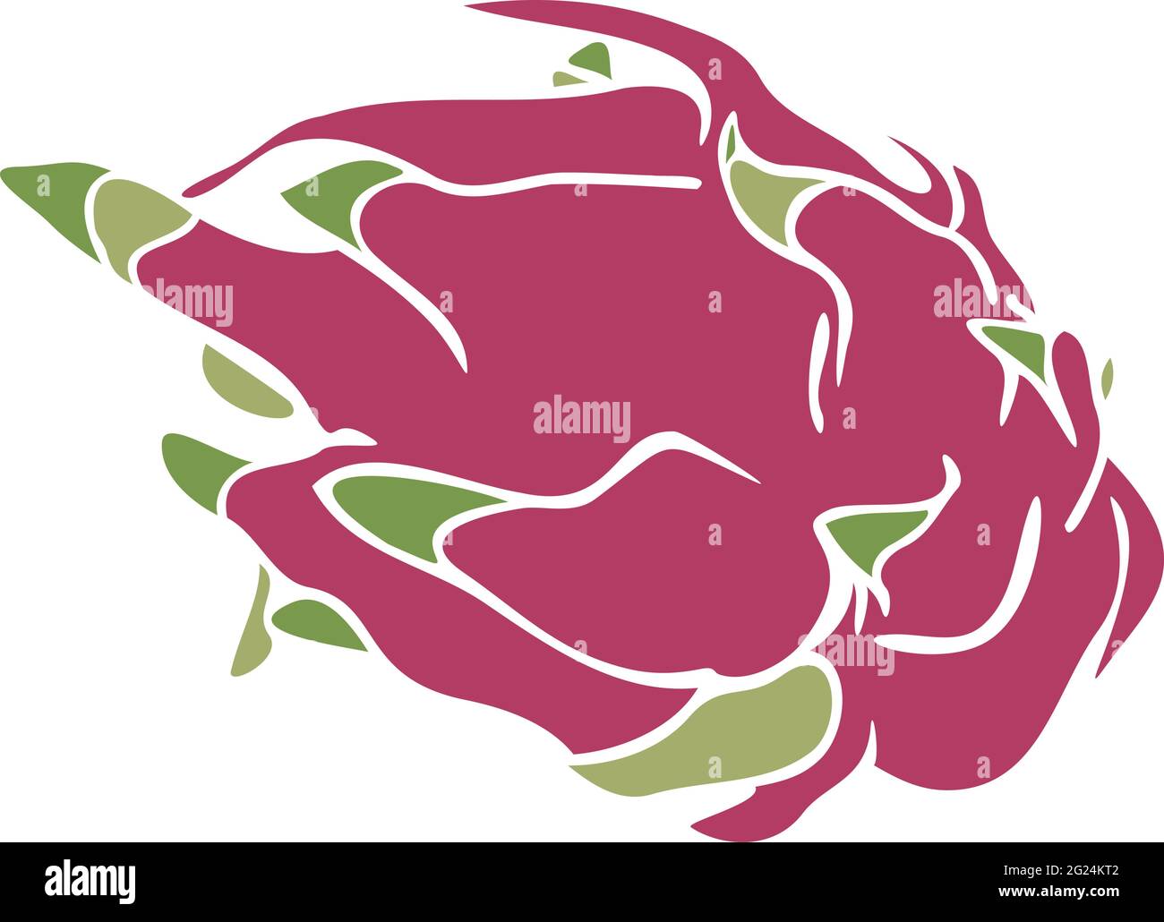 Vektordarstellung der Pitaya. Silhouette der Drachenfrucht. Stock Vektor