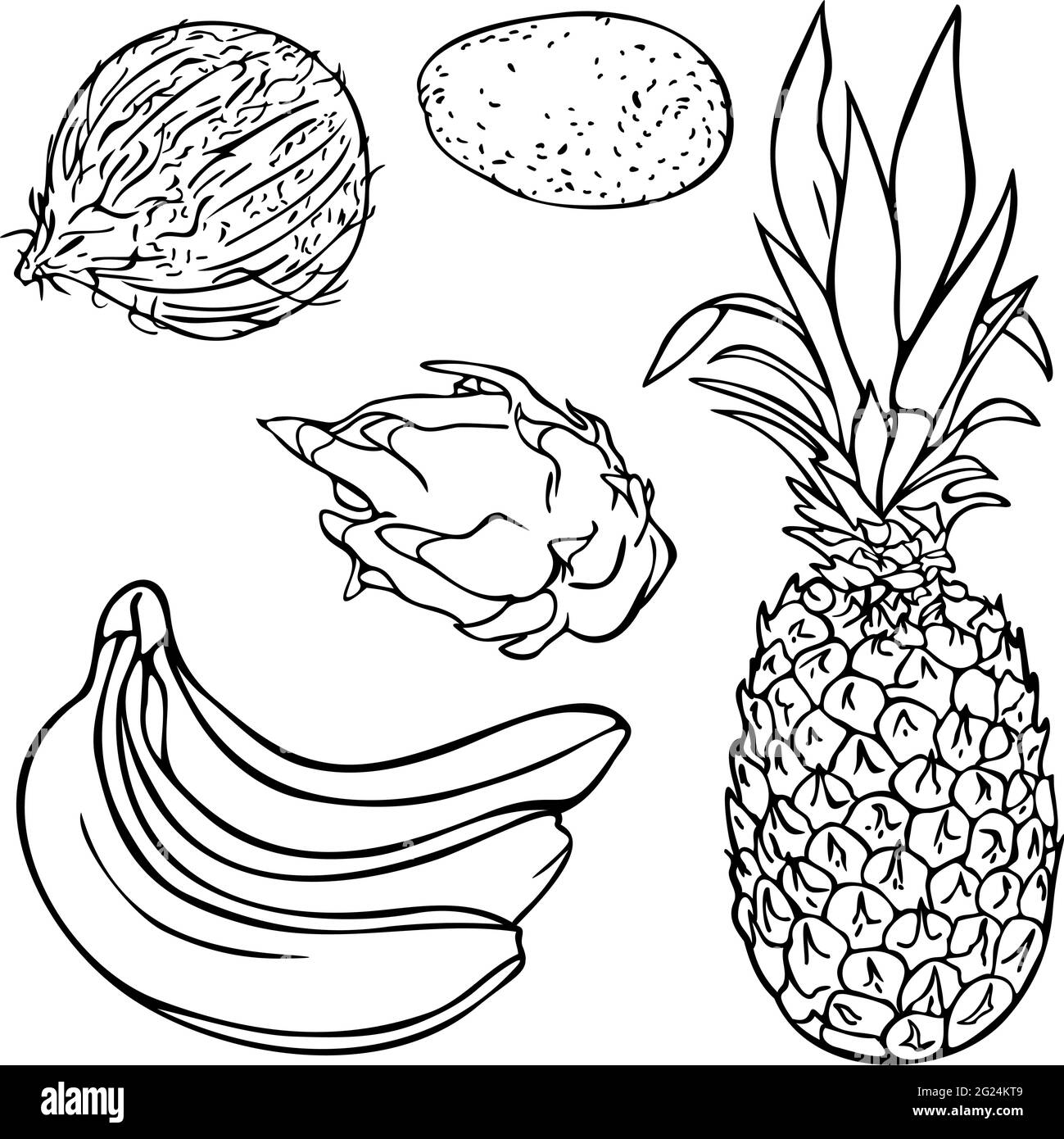 Vektor-Illustration mit Sammlung von exotischen Früchten. Set aus tropischen Früchten. Design für das ausmalen. Stock Vektor