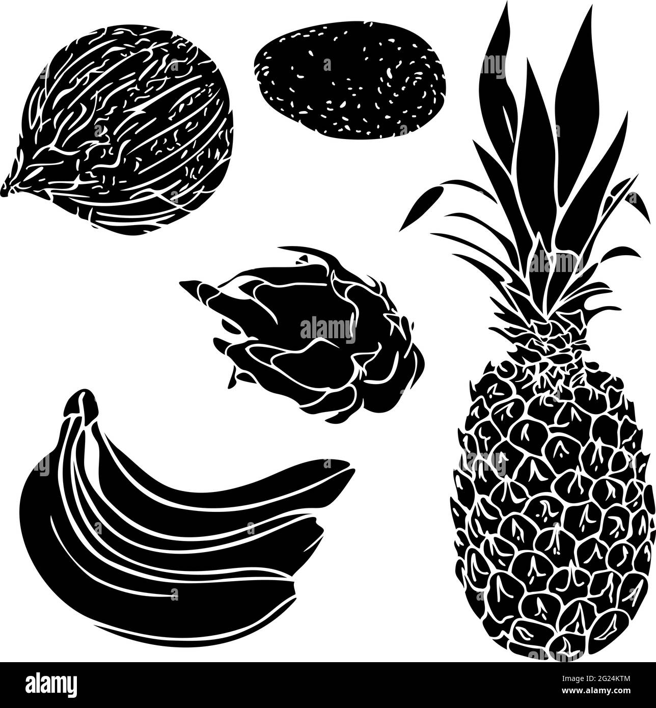 Vektor-Illustration mit Sammlung von Silhouetten von exotischen Früchten. Set aus Kokosnuss, Banane, Ananas, Avocado, Pitaya-Silhouetten. Stock Vektor
