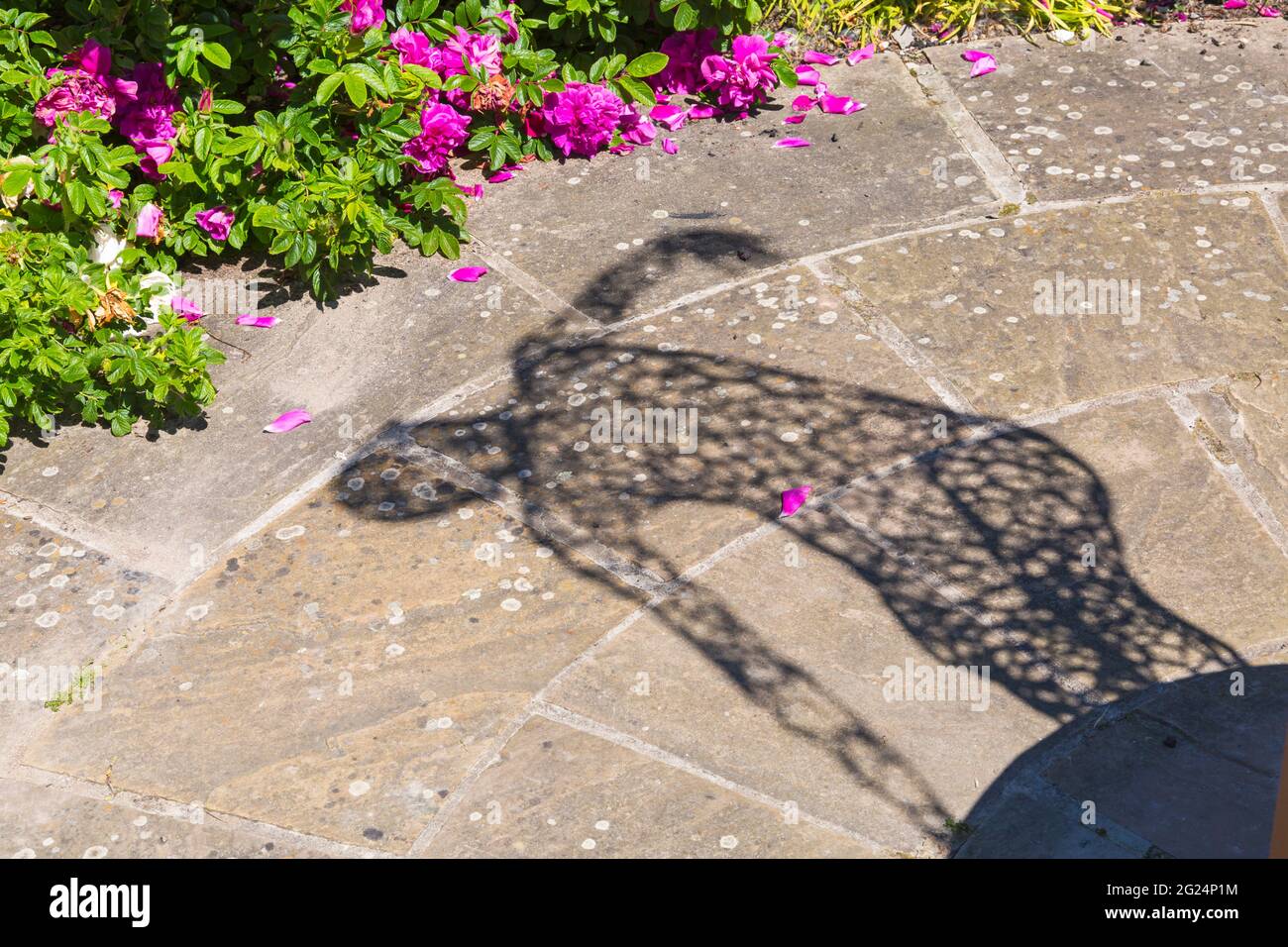 Schatten der Skulptur bei Sculpture by the Lakes, Pallington Lakes, Dorchester, Dorset UK im Juni Stockfoto