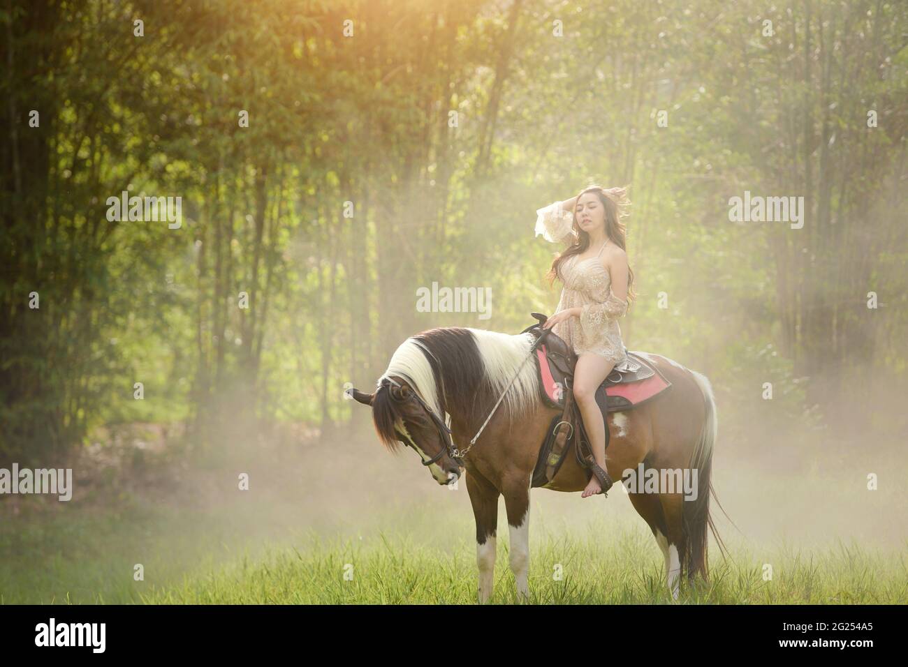 Frau, die auf einem Pferd auf einem Feld sitzt, Thailand Stockfoto