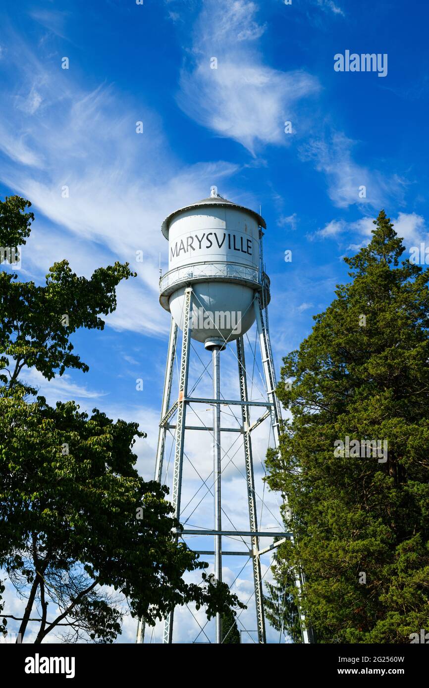 Marysville, WA, USA - 06. Juni 2021; Marysville Wasserturm in der Stadt Snohomish County gegen blauen Himmel mit hoch vorbeiziehenden Wolken Stockfoto