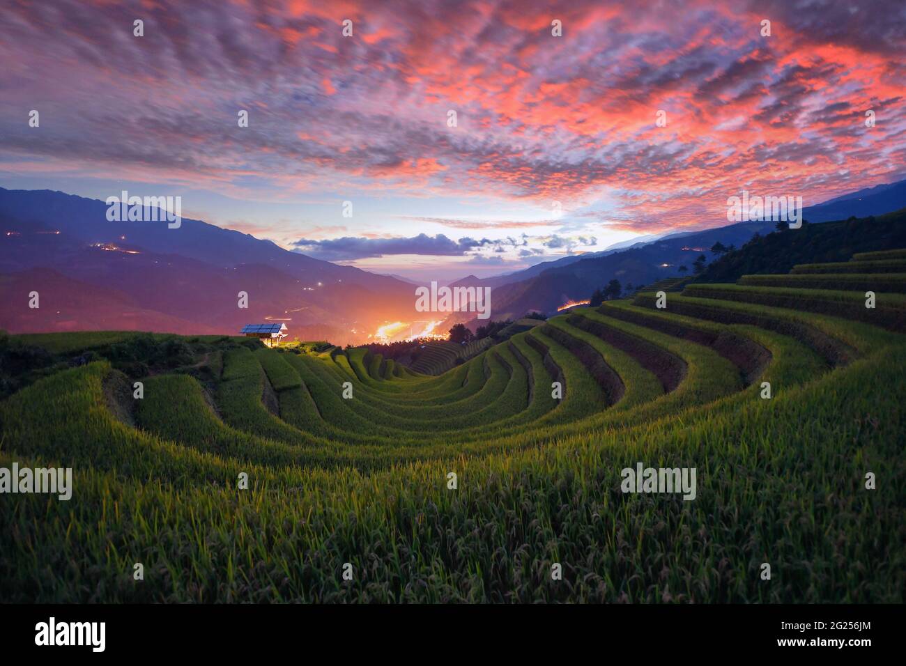 Terrassenförmige Reisfelder bei Sonnenuntergang, Mu Cang Chai, Yen Bai, Vietnam Stockfoto