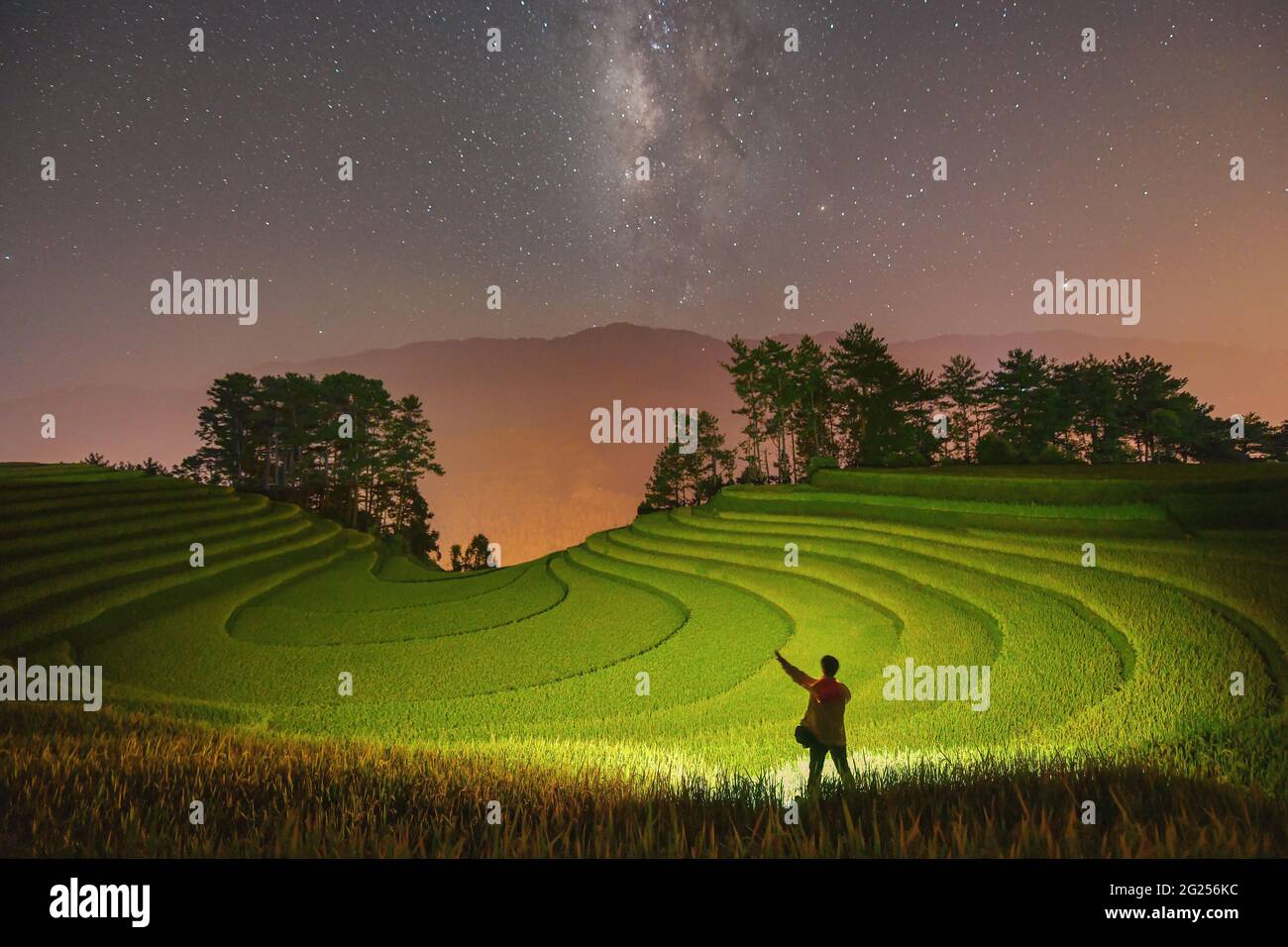 Mann, der in der Nacht unter der Milchstraße in terrassierten Reisfeldern steht, Mu Cang Chai, Yen Bai, Vietnam Stockfoto