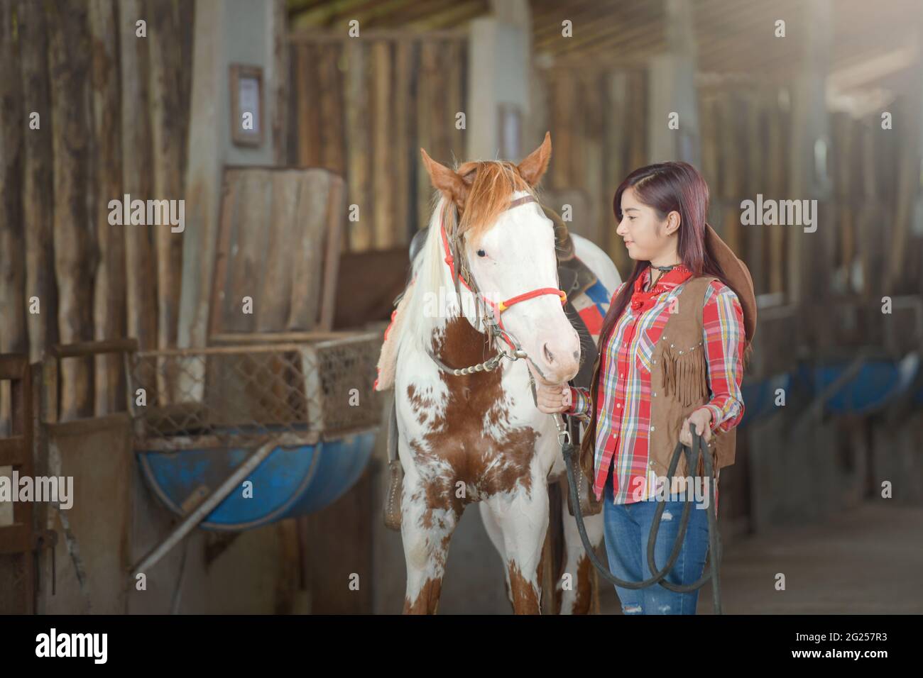 Frau, die in einem Stall steht und ihr Pferd zum Reiten bereit hat Stockfoto