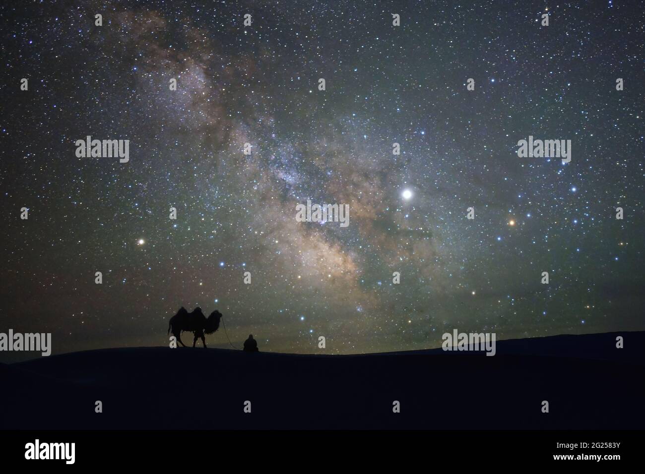 Silhouette eines Mannes und seines Kamels in der Wüste unter der Milchstraße, Mongolei Stockfoto
