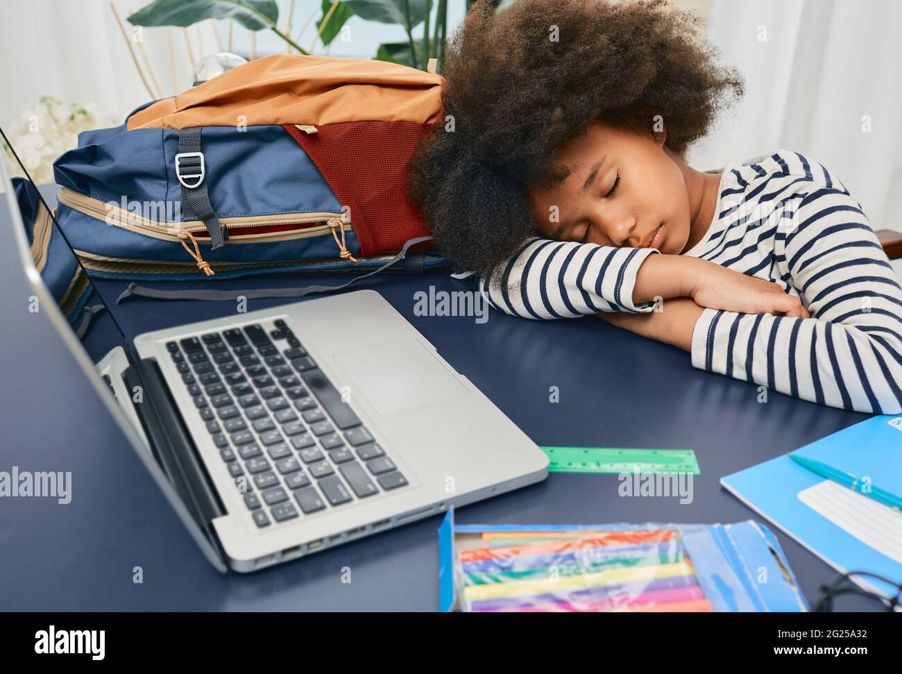 Die kleine Schülerin schlief während des Online-Lernens zu Hause ein, legte ihren lockigen Kopf nach einer harten Lektion auf den Schultisch und ruht sich aus Stockfoto