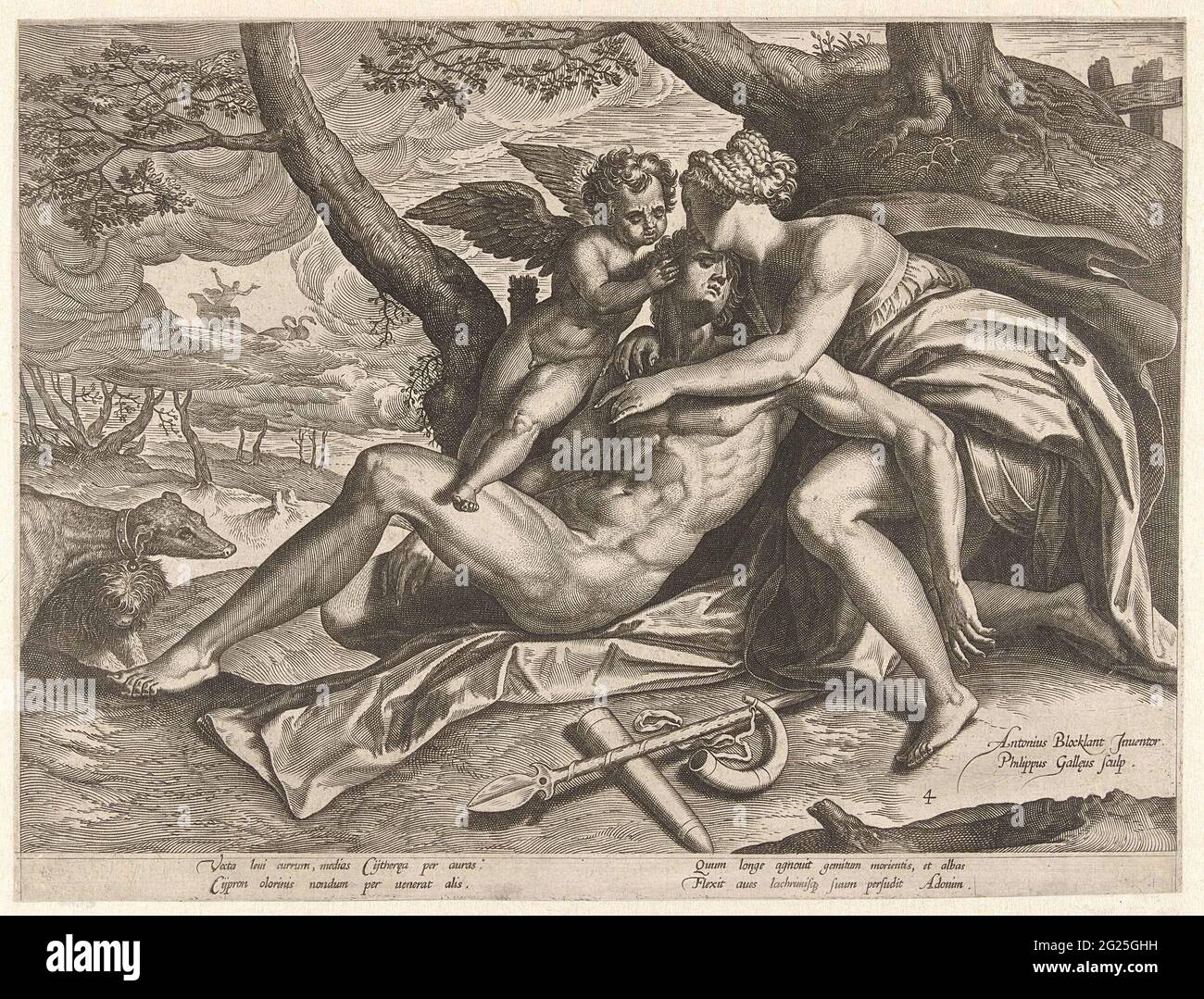 Venus kartiert über den Tod von Adois; die Geschichte von Adois. Venus und Amor trauern um den Tod von Adon. Venus hält ihren Geliebten in den Armen. Adones Jagdwaffen liegen neben ihm auf dem Boden. Seine Jagdhunde sitzen vor seinen Füßen. Im Hintergrund schwebt die venus mit ihrem Triumfy durch den Himmel. Der Druck hat eine lateinische Beschriftung und ist Teil einer Serie über das Leben von Addis. Stockfoto