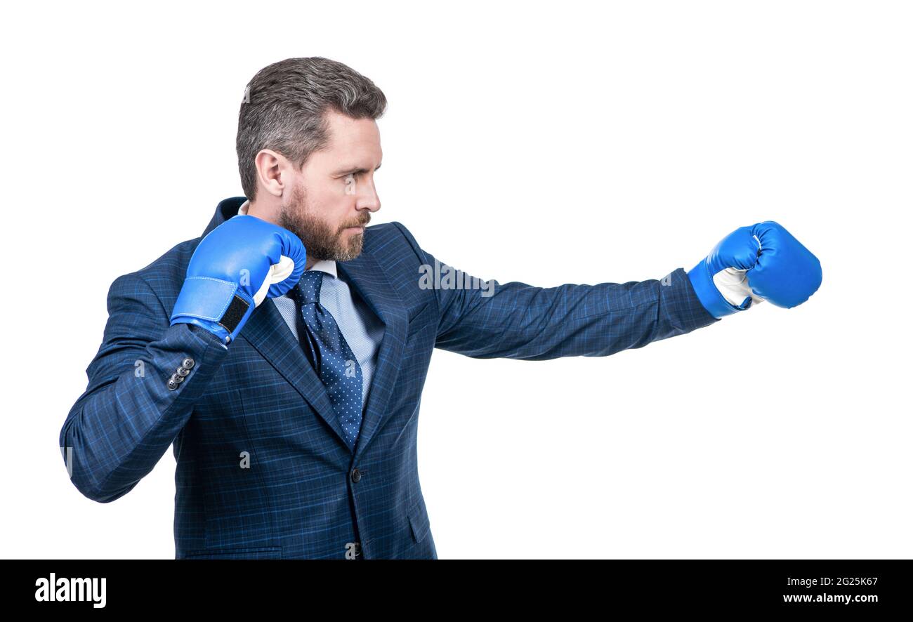 Erfolgreicher, starker ceo Boxer. Unermüdlicher Kampf und Erfolg. Stockfoto