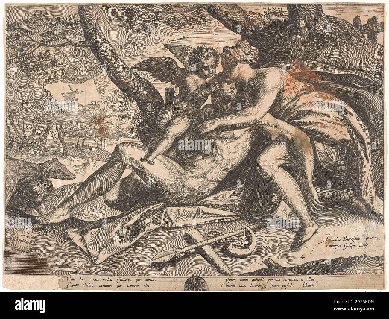 Venus kartiert über den Tod von Adois; die Geschichte von Adois. Venus und Amor trauern um den Tod von Adon. Venus hält ihren Geliebten in den Armen. Adones Jagdwaffen liegen neben ihm auf dem Boden. Seine Jagdhunde sitzen vor seinen Füßen. Im Hintergrund schwebt die venus mit ihrem Triumfy durch den Himmel. Der Druck hat eine lateinische Beschriftung und ist Teil einer Serie über das Leben von Addis. Stockfoto