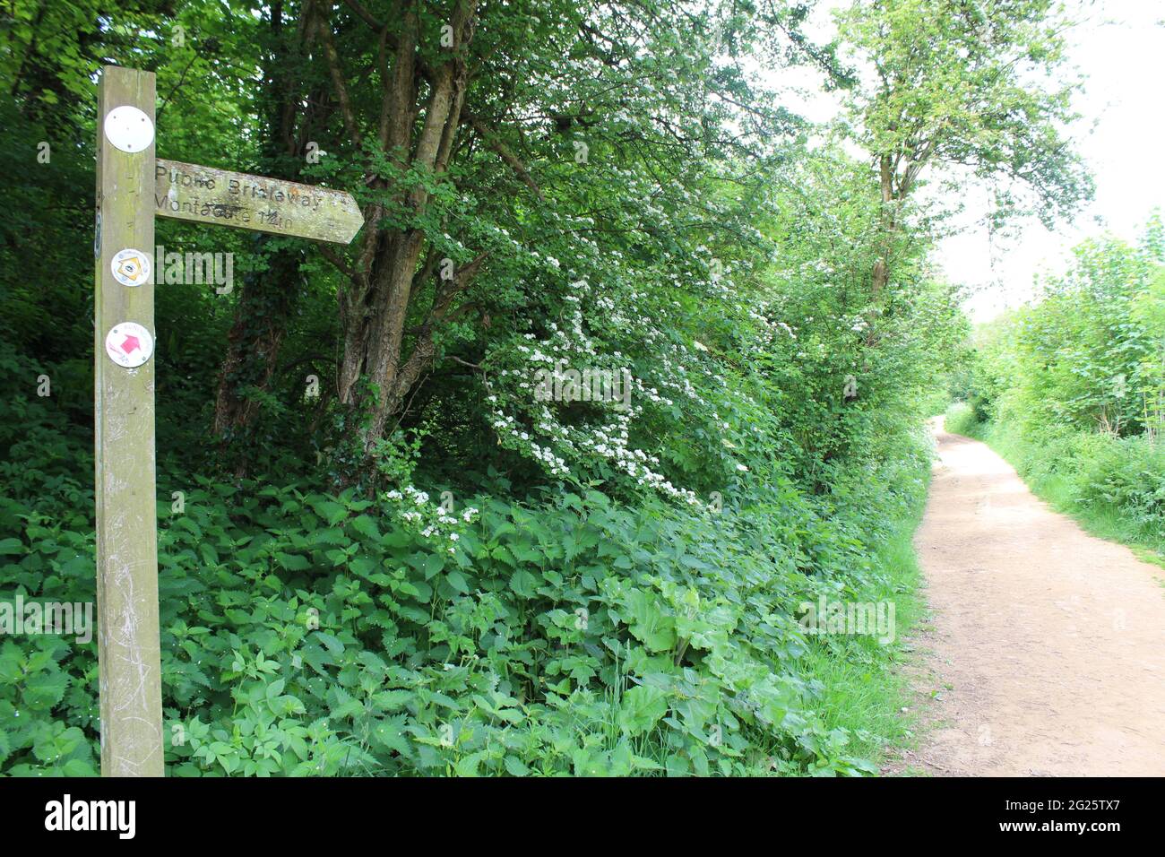 Öffentlicher Brückenweg nach Montacute vom Ham Hill Country Park, Somerset, England. Stockfoto