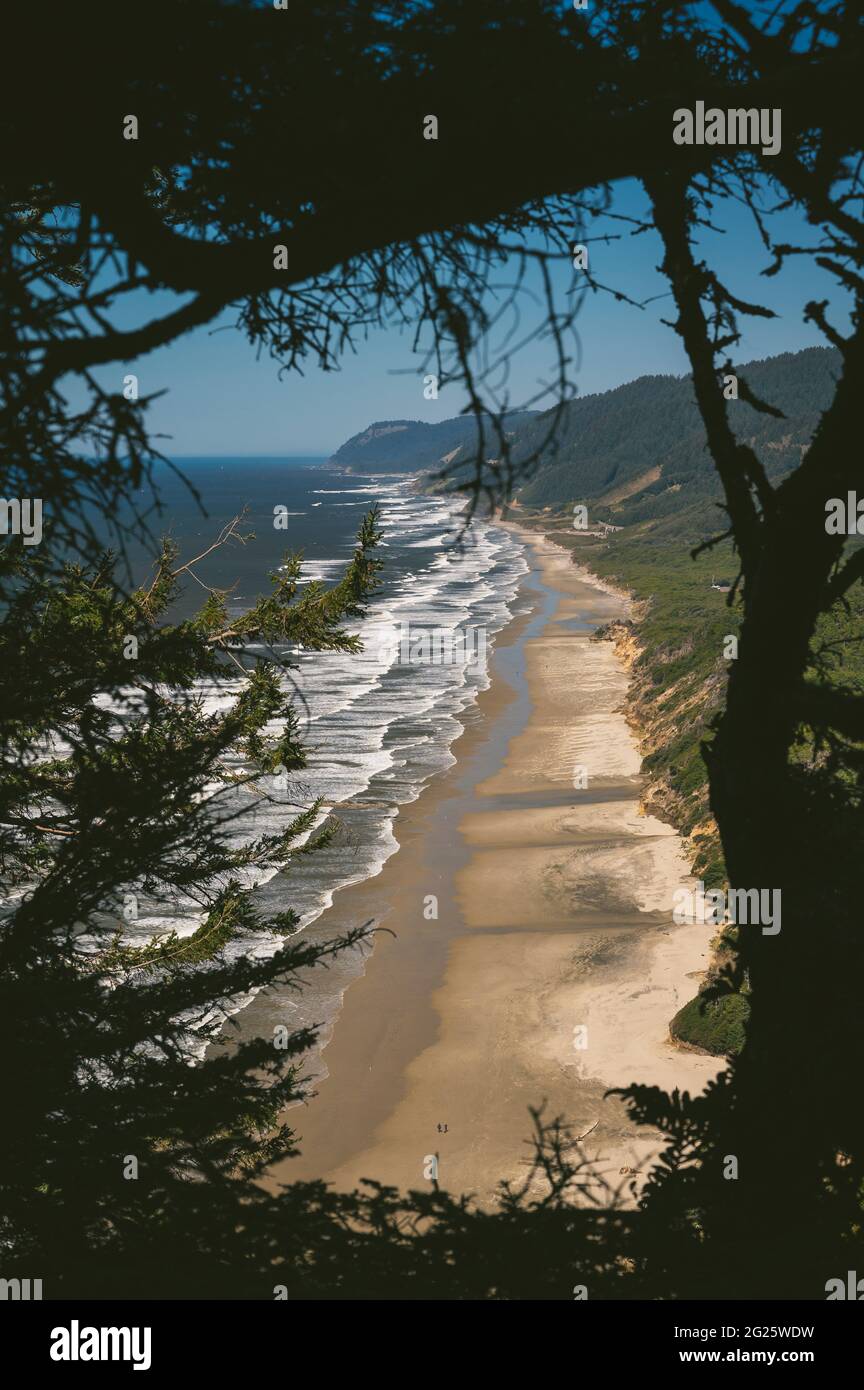 Blick von hoch über EINEM von Bäumen umrahmten Strand Stockfoto