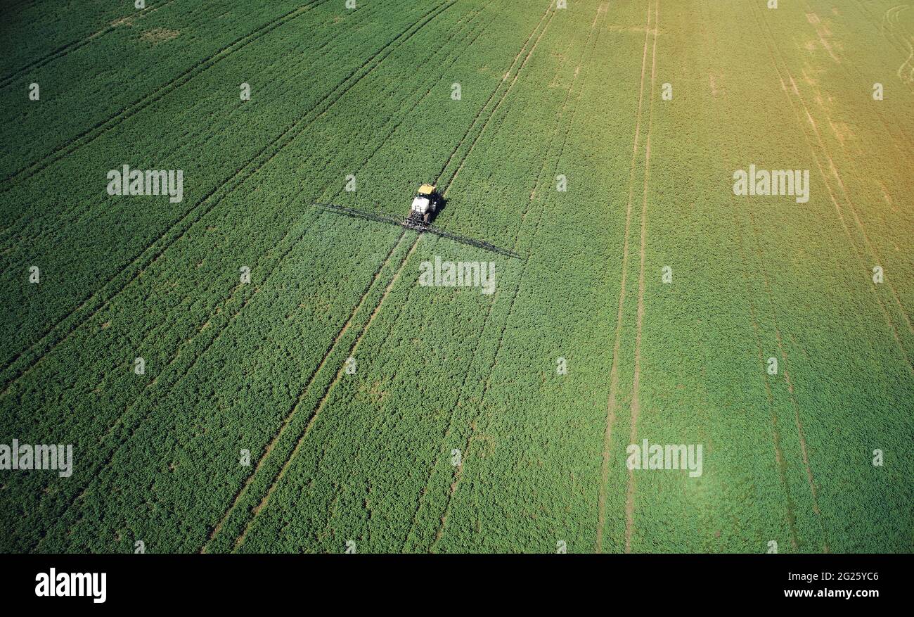 Düngung von grünen Feldern in heller, sonniger Tagesansicht von Drohnen Stockfoto