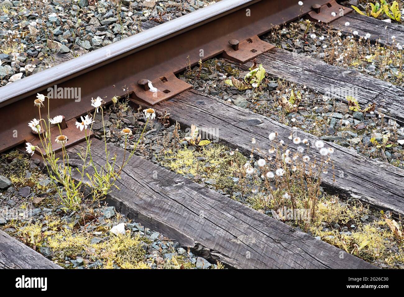 Seitenansicht einer alten Bahnplatte, Spikes, Schienen und Stromschienen Stockfoto