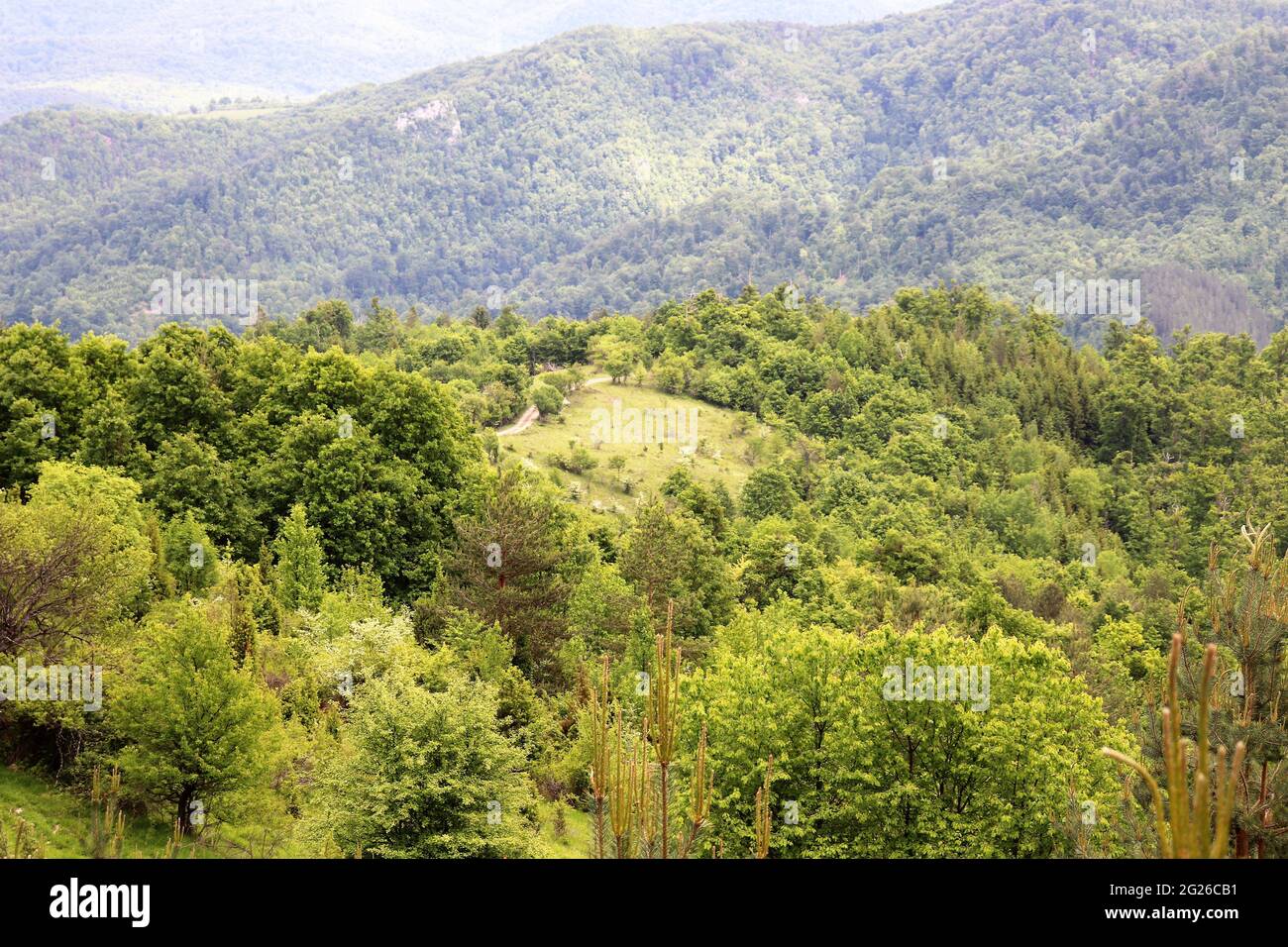 Schöne grüne Berglandschaft im Frühling mit Wiese Stockfoto