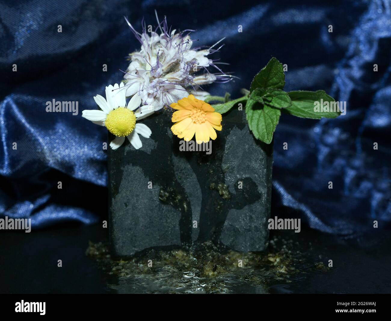 Handgemachte schwarze Seife, Holzkohle Stockfoto