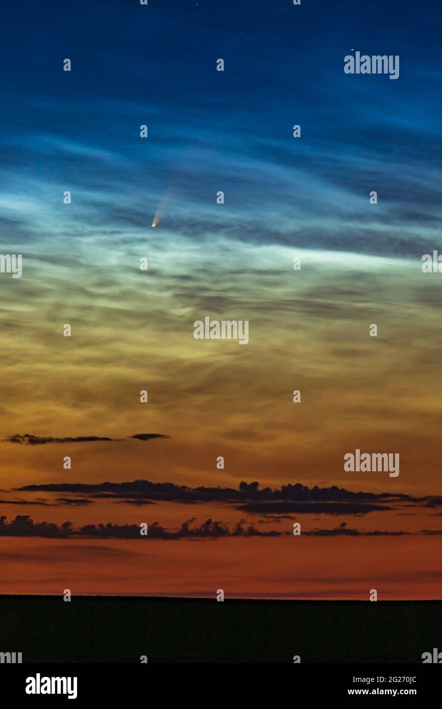 Komet NEOWISE in hellen nächtlichen Wolken am Morgen. Stockfoto