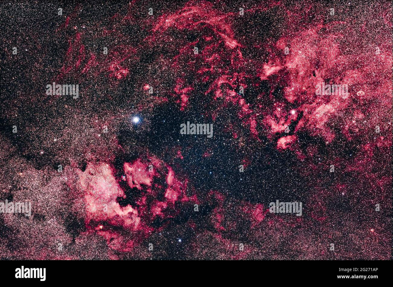 Der reiche Nebel in Cygnus, mit dem Nordamerikanischen Nebel und Halbmondnebel. Stockfoto
