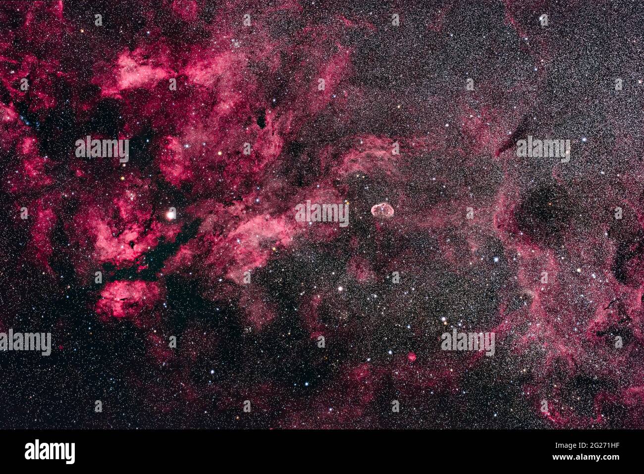 Die Cygnus-Sternwolke und die Vernebeltheit. Stockfoto