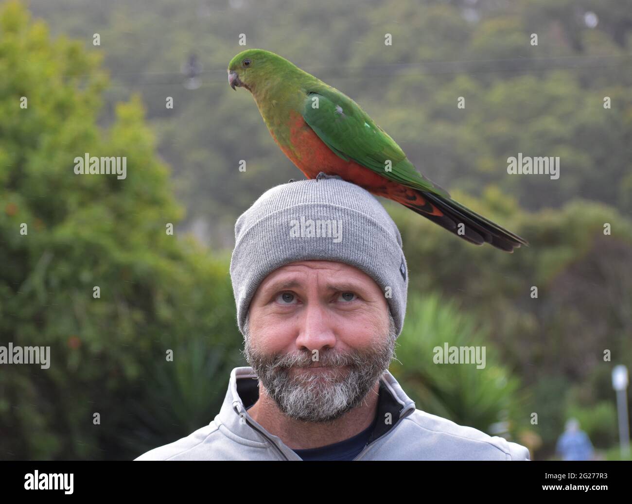 Mann mit einem Papagei auf dem Kopf in Australien Stockfoto