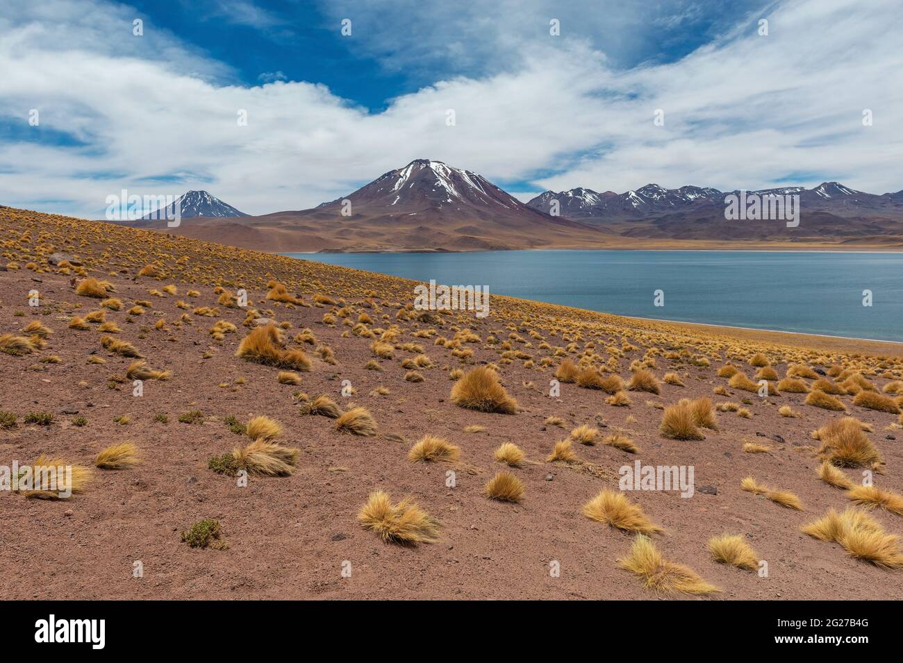 Miscanti Lagune mit Schnee auf den Berggipfeln der Anden, Atacama Wüste, Chile. Stockfoto