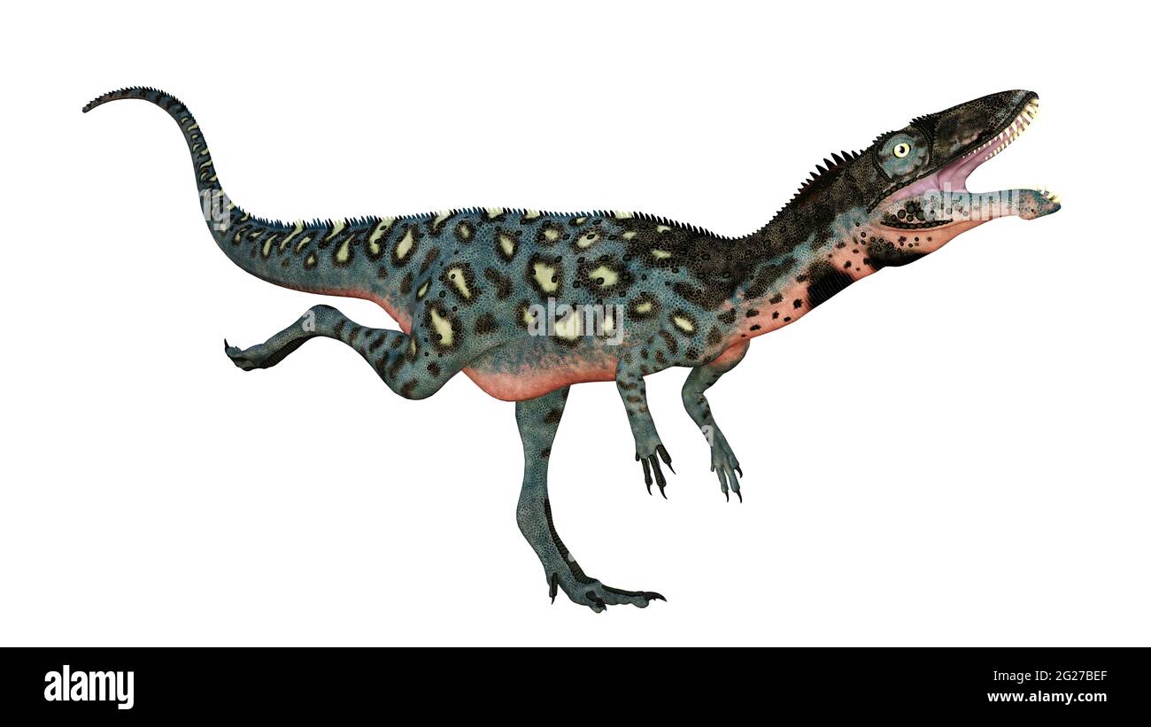 Masiakasaurus knopfleri Dinosaurier läuft, isoliert auf weißem Hintergrund. Stockfoto