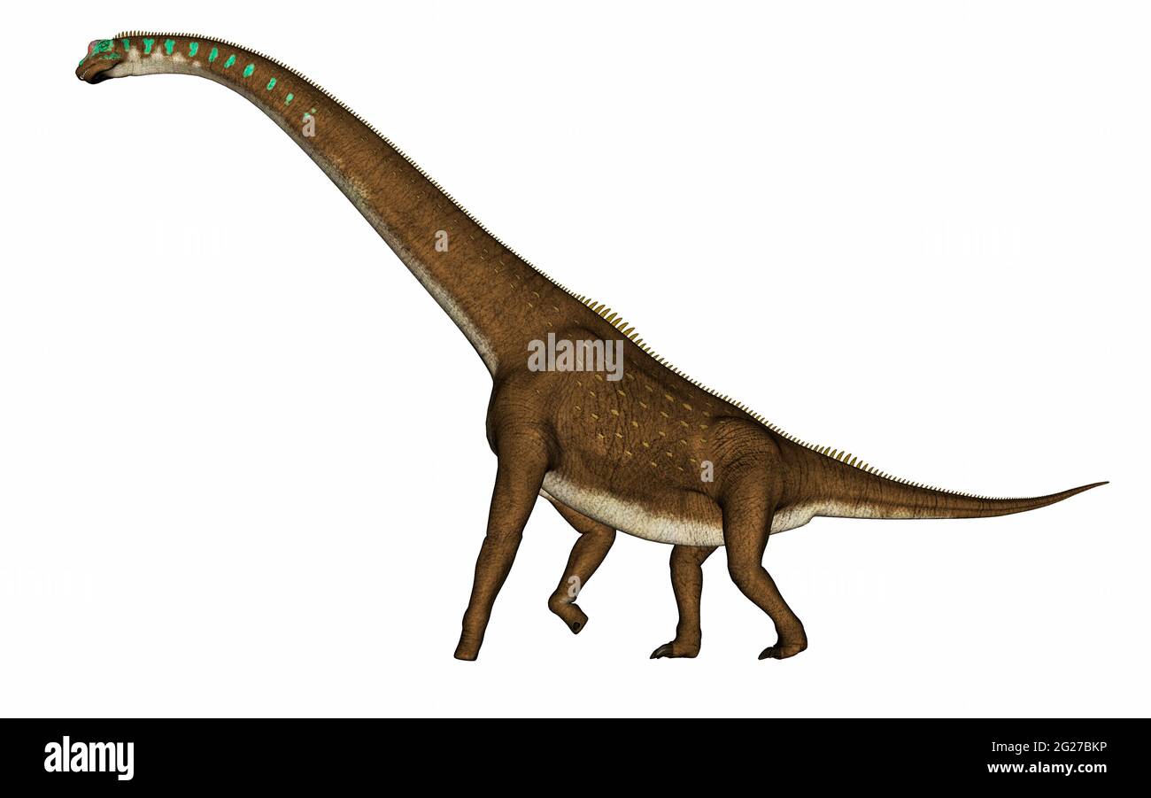 Giraffatitan Dinosaurier - 3D-Rendering Stockfoto