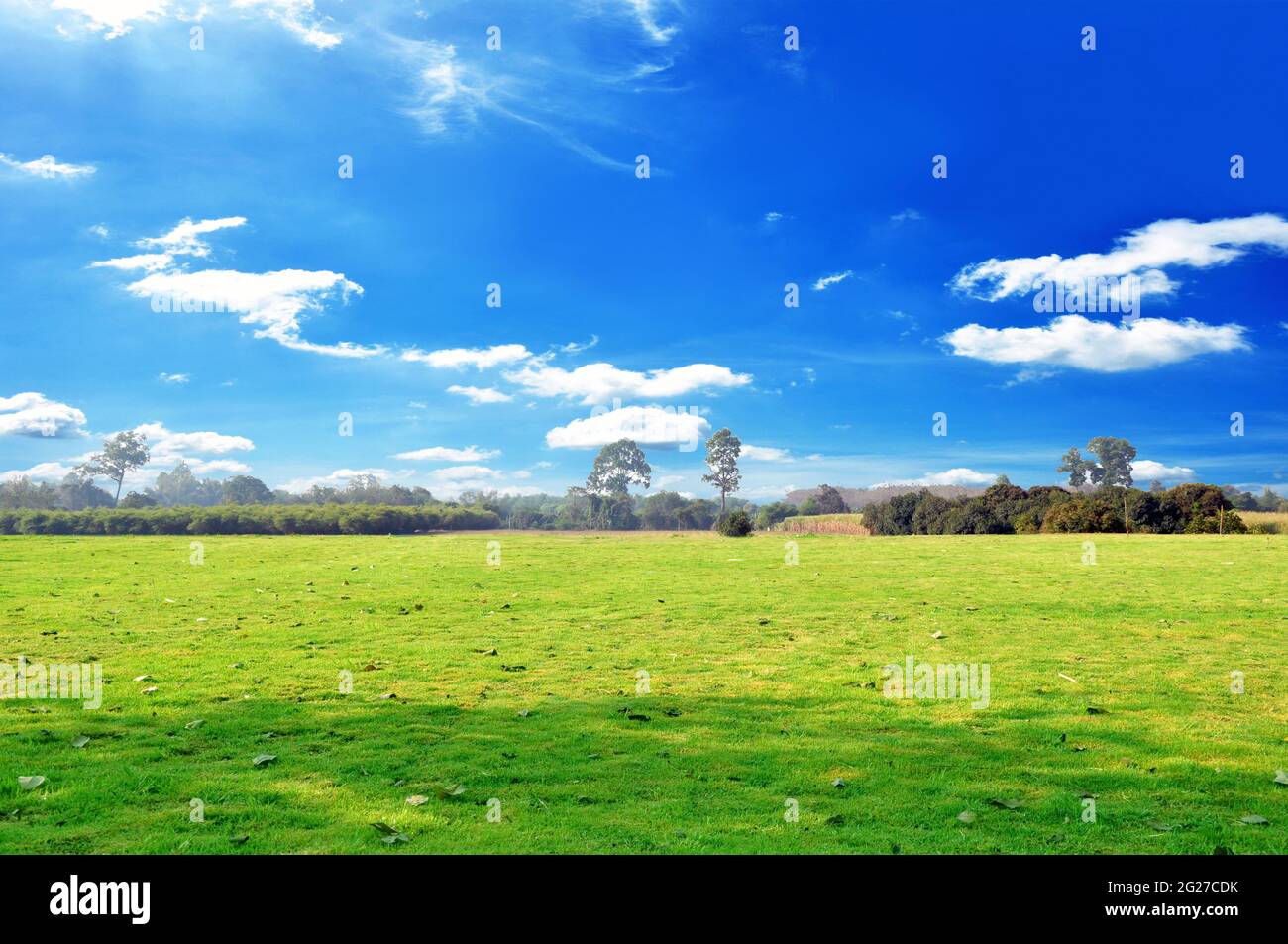 Schönes grünes Feld in sonnigen blauen Himmel - Park, Landwirtschaft und natürlichen Hintergrund Konzept Stockfoto