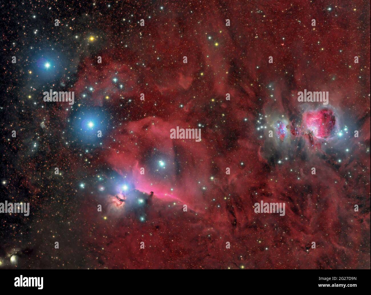 Orion Molecular Cloud Complex, zeigt den Pferdekopfnebel und den Orionnebel. Stockfoto