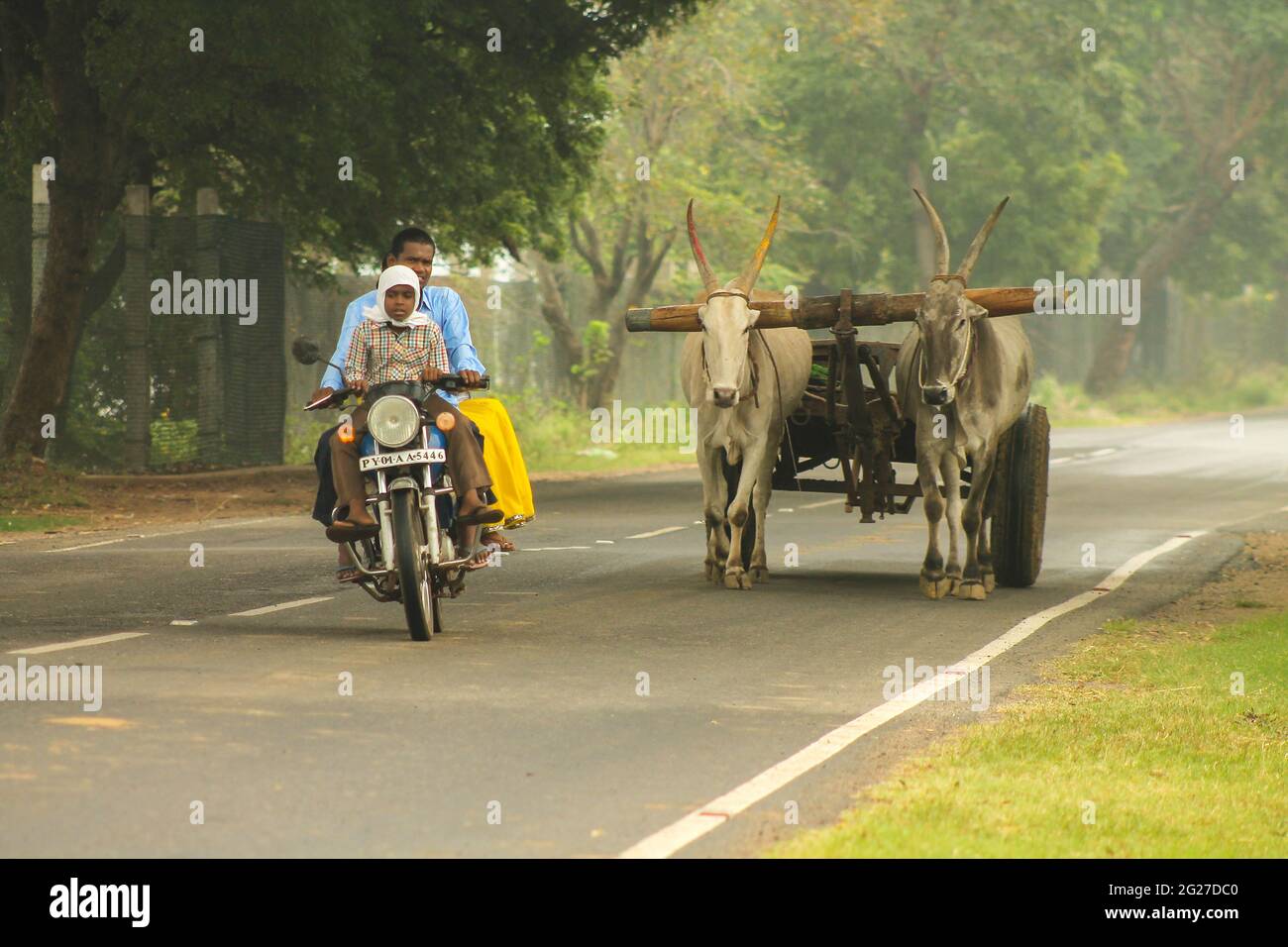 indian Bullock Cart ohne Menschen Stockfoto